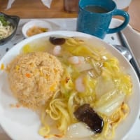 函館までのバス移動について