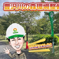 豊沢川の森環境整備活動〜2024秋