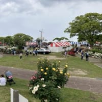 粕屋町バラまつりウォーキング！