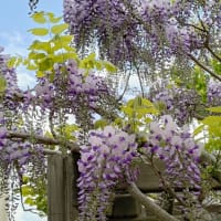 当番医の先生が神！に思えた！