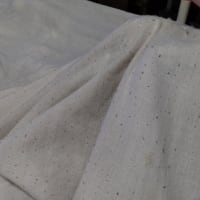 キラキラの光　夏日