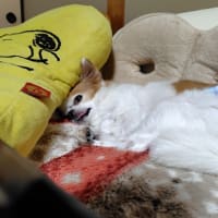 カトルフィーユのパン