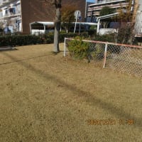 ＃㊶新松戸ファミ－ハイツ理事会各位　清掃員の減少と管理を
