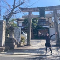 須賀神社行ってきました！