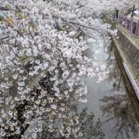 今日いち-2025年4月10日