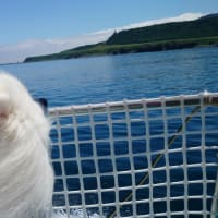 2014-06-27【北の大地へ☆北海道（ウトロ～知床観光船～網走～北見～紋別）】