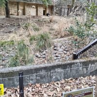 東山動植物園の写真