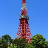 鯉のぼりが泳ぐ中、東京タワーの鉄骨を撮ってみた