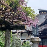 証拠の体重計