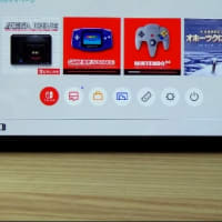 スイッチオンライン追加パック