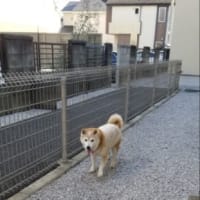 クリンへの想いは尽きなくて・・・307