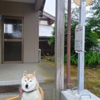 新しいバス停出来た。