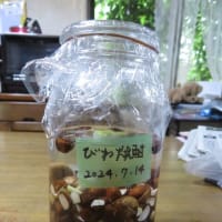 枇杷のタネでエキスを作りました