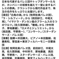 💗バレエの饗宴2025💗TV