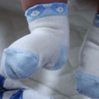 ソックス