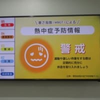 やっぱり何か変だよ？