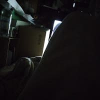 夕方から夜になるのは