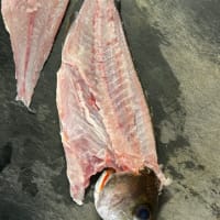 昼ごはん
