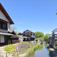 Kennyのぶらりカメラを提げて：若葉の季節
