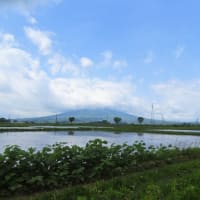 田圃の粗搔き