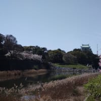 去年ですがもう過去のものになりました