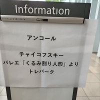 大事件！オーケストラ・ルゼル　第３１回演奏会に行ってきた