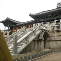 韓国旅行に行ってきました