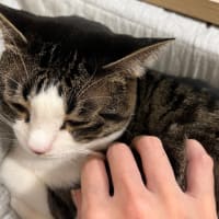 今週のテーマは、こちら