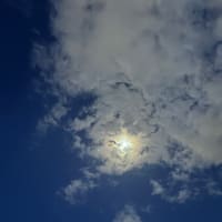 月夜の晩　月に吠えるわたし