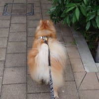 眠い眠い