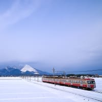 雪原と赤電