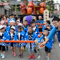 大山犬祭り（2016.06.05）