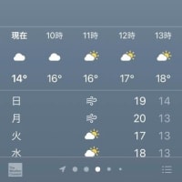 49.6℃の灼熱地獄・・・