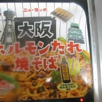 『大阪ホルモン たれ焼きそば』