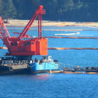 ６月１２日の大浦湾の様子