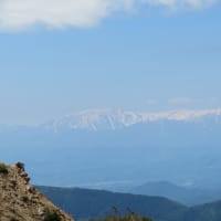 サンカヨウを見ながら磐梯山登山 2024.5.22