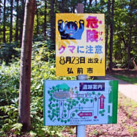 プーさん　青森県弘前市　大森勝山遺跡に行ったんだよおおう