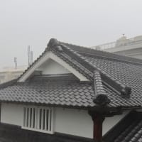 突然の雨２０２５．６