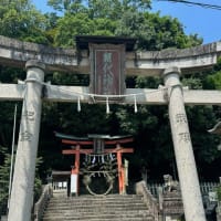 夏越の祓　茶事