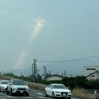 今日は七夕
