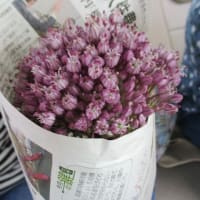 支援センター通信(^^♪　6月号