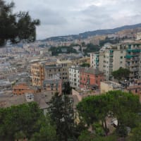 Il 12 luglio 2024.