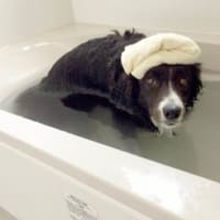 いい湯だな〜