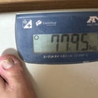 謎の高熱で寝込む、暑い日々。