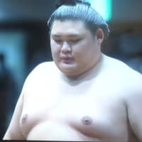 大谷、３戦連発16号　大の里、７戦全勝　　