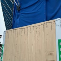 街角のヒノキ