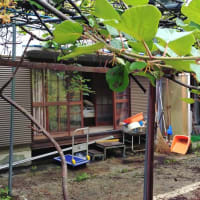 掃除、片付け ！