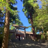 幸せを求めて