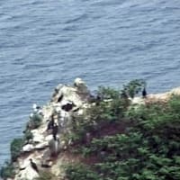 海鳥のサンクチュアリ　天売島と森林浴を楽しむメルヘンの焼尻島　３８回目　天売島