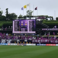 土曜日は静岡県藤枝でサッカー応援
